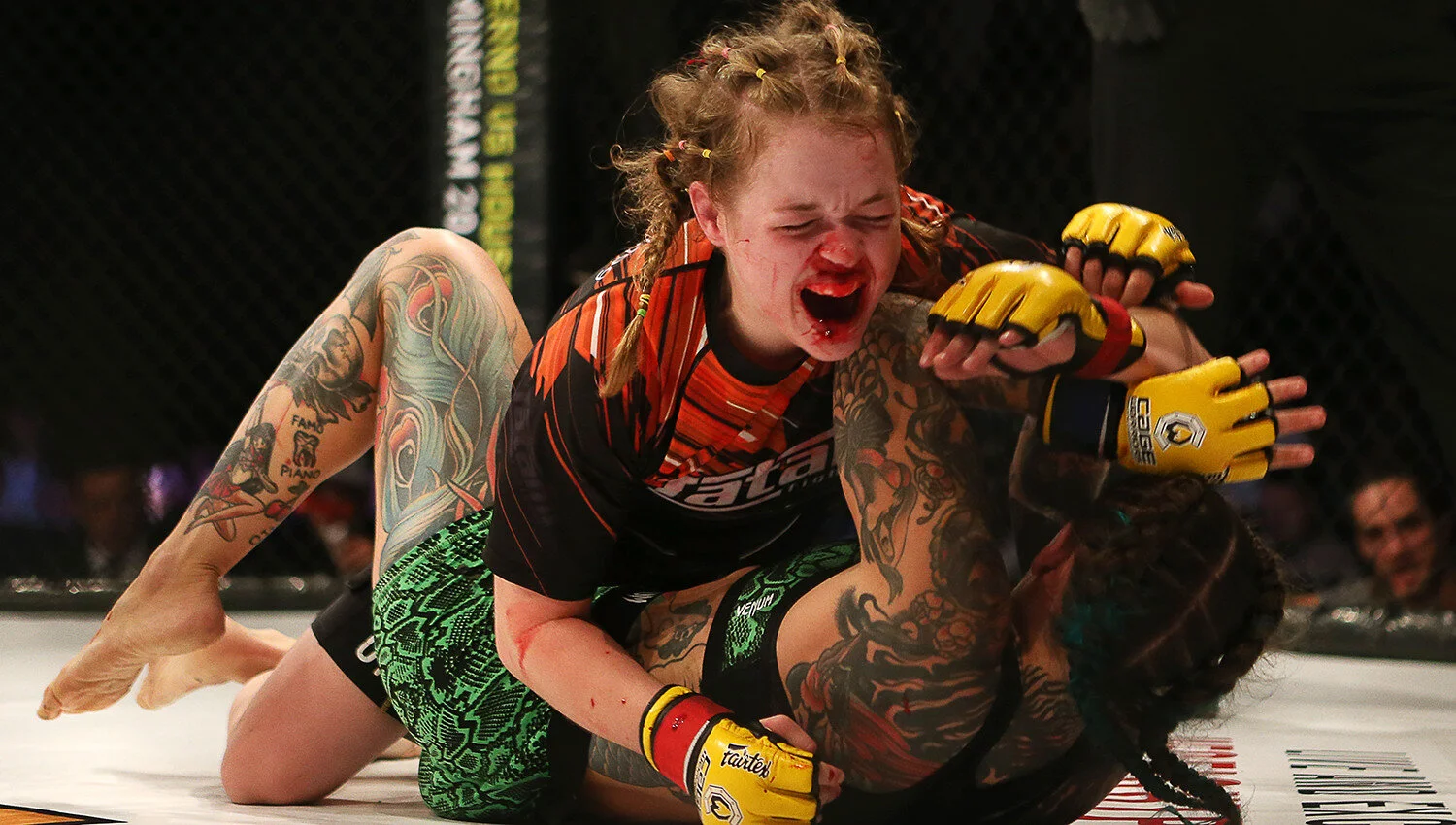 Cage warriors 97 cory mckenna v micol disegni