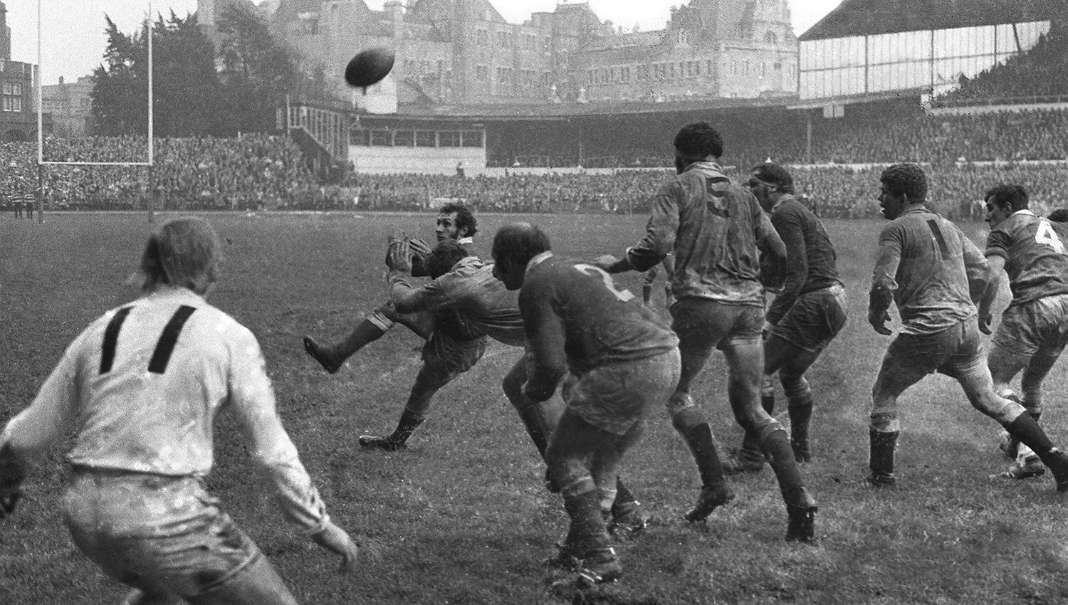 Gareth edwards of wales chips over england forwards in 1971