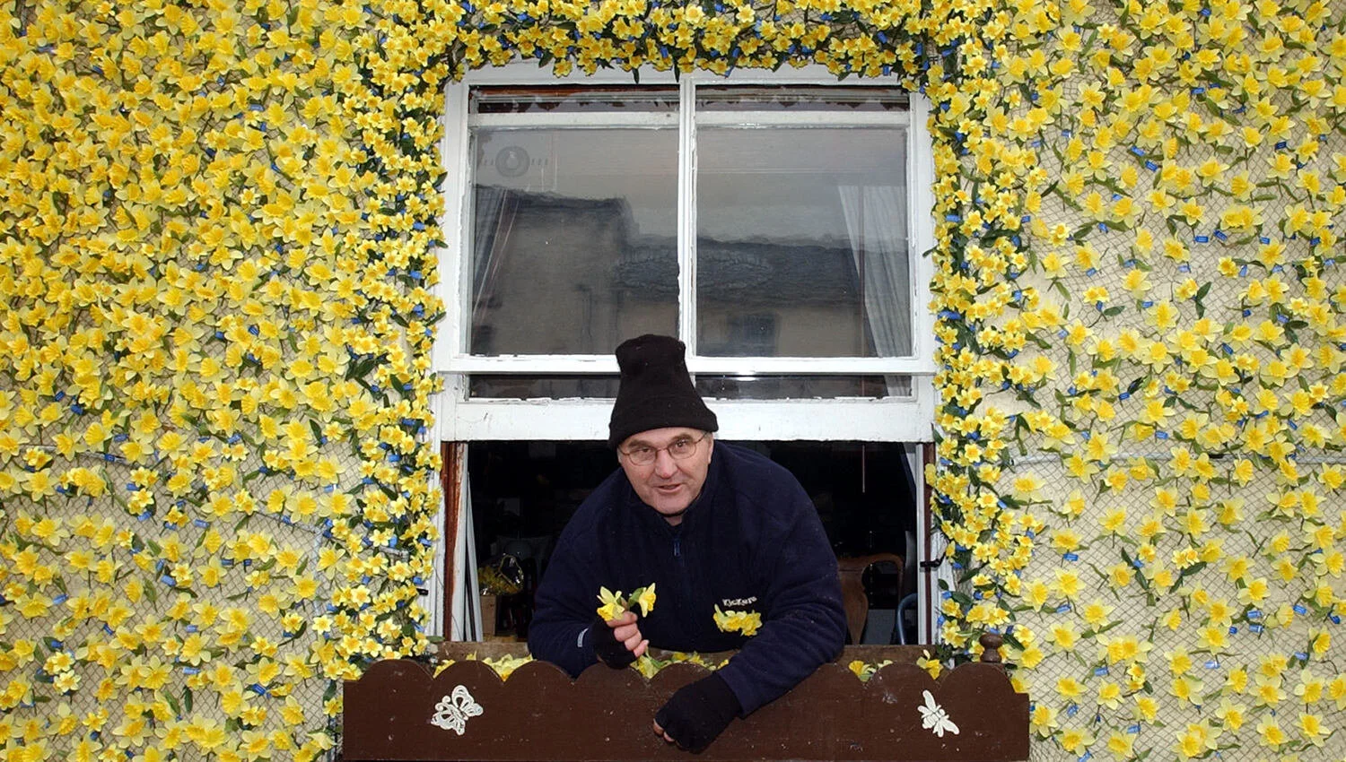 House decorated with daffodils